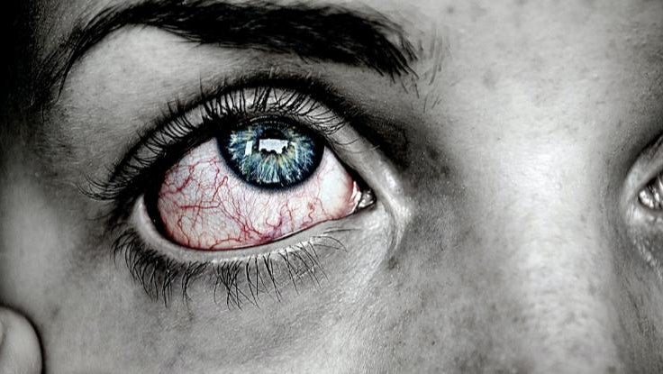 3xhr8nbftbxbmh6cfrfbxxbqmshn7z0gfoepy7vc6lanhy69dkrd3vcnodonkchqrwjr Hcuygjihcarli0cprnewbz9tf698suauc4 Zaqovkuy5vpx Sjolj1 Zwgi7ukzy7tdcy9tvzvigg