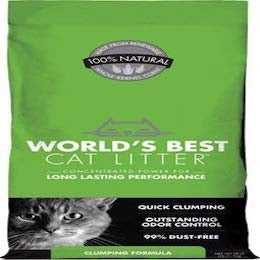 Best Cat Litter For A Fresh And Clean Litter Box